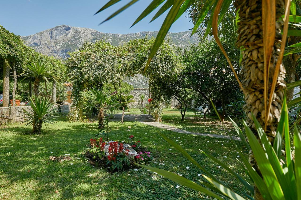 Mediterranean Holiday House & Apartments Kotor Dış mekan fotoğraf